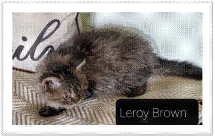 Leroy Brown5.jpg