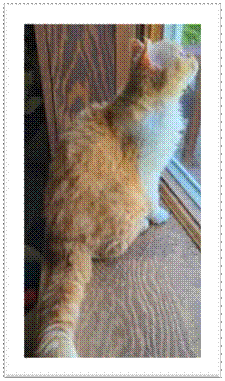 Leroy Brown5.jpg