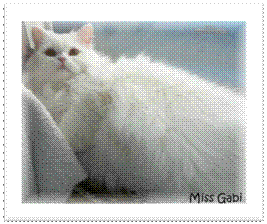 Miss Gabi.jpg