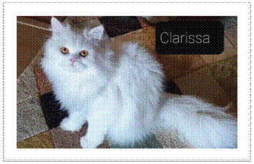 Clarissa.jpg